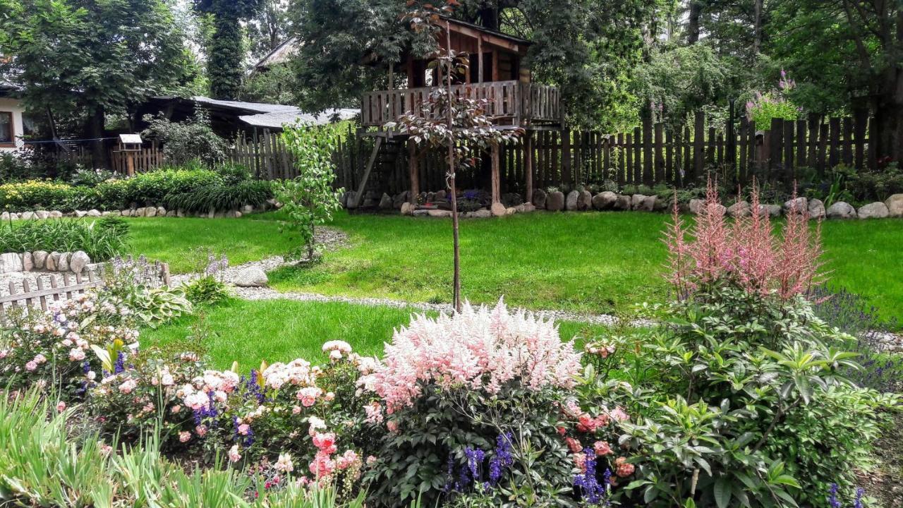 Apartment Dom Tomusik *